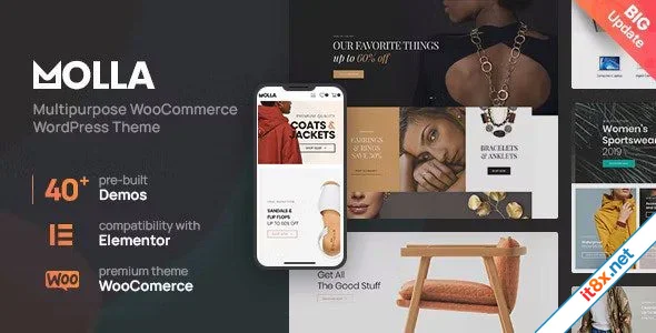 Molla MultiPurpose WooCommerce Theme-1.webp