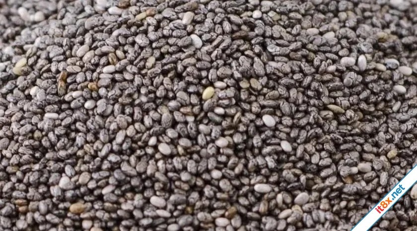 mon-an-giau-chat-xo.webp