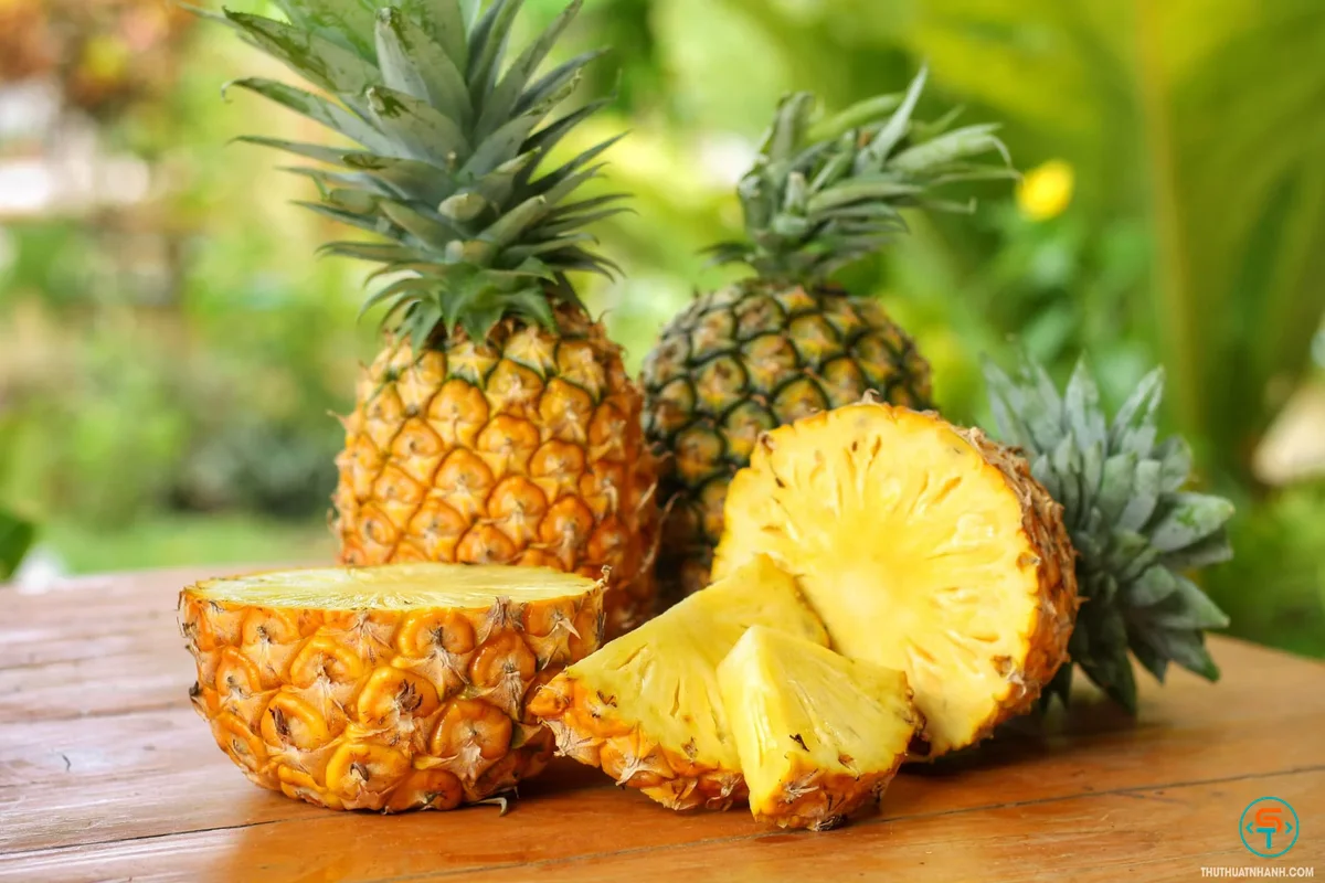 Quả dứa.webp