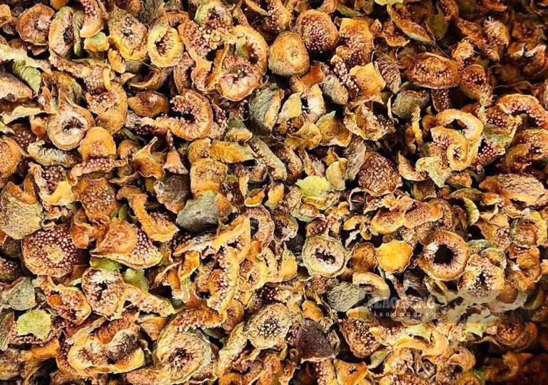 Quả sung và công dụng bất ngờ trong việc bổ sung canxi cho cơ thể-1.webp