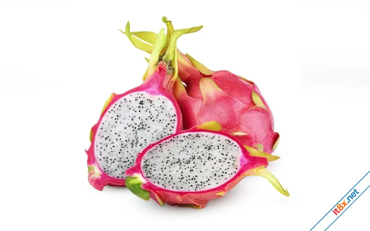 qua-thanh-long.webp