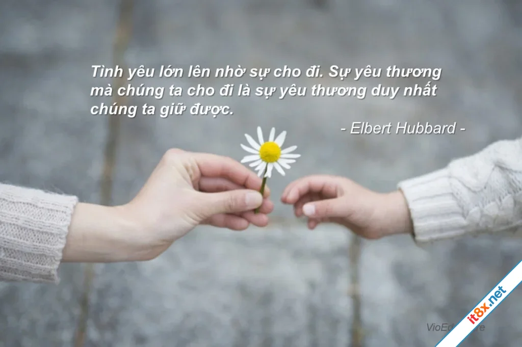 quote-tinh-yeu-thuong.webp