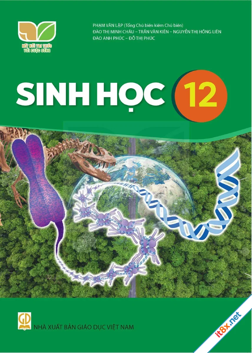 Sinh học 12 - KNTT
