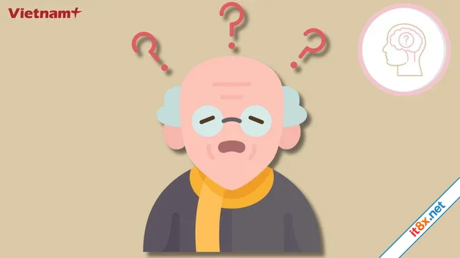 Tìm hiểu về choline dưỡng chất quan trọng cho não bộ nhưng ít được biết đến-1.webp