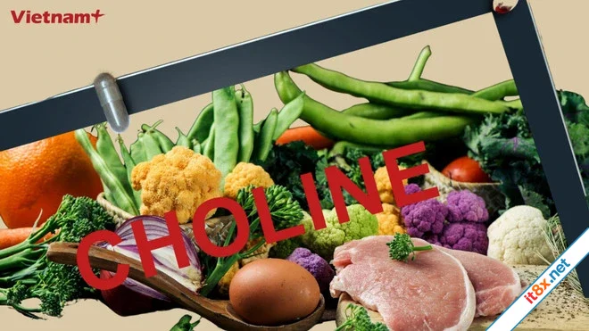 Tìm hiểu về choline dưỡng chất quan trọng cho não bộ nhưng ít được biết đến-2.webp