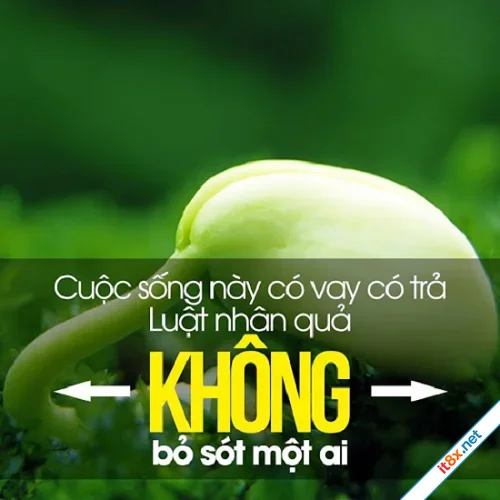 Tình người Nhân quả cuộc đời thật sâu sắc câu chuyện thấm đẫm tính nhân văn-1.webp