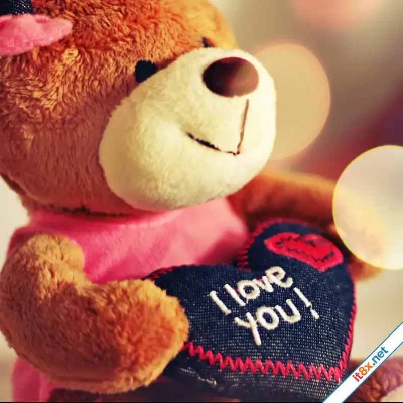 tinh-yeu-va-su-that.webp