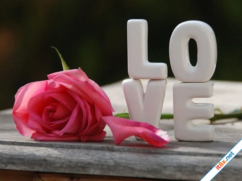 tinh-yeu.webp