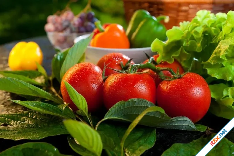 tomato.webp