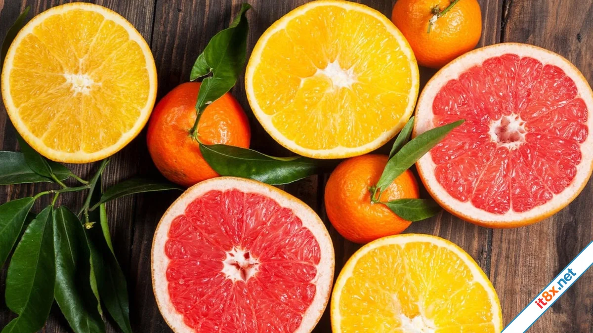 Trái cây họ cam quýt.webp