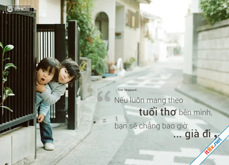van-la-dua-tre.webp
