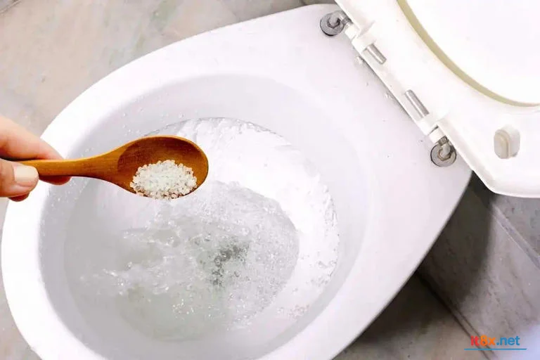 Vệ sinh bồn cầu bằng muối Giải pháp xanh thay thế hóa chất tẩy rửa mạnh-1.webp