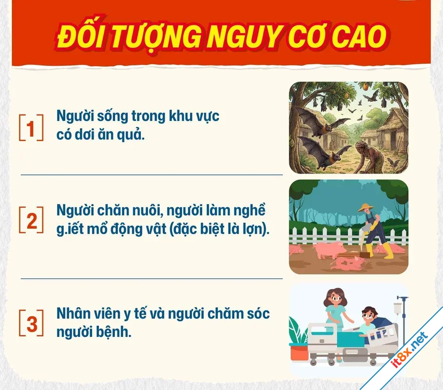 Virus Nipah Không hoảng loạn chỉ cần biết điều này-3.webp