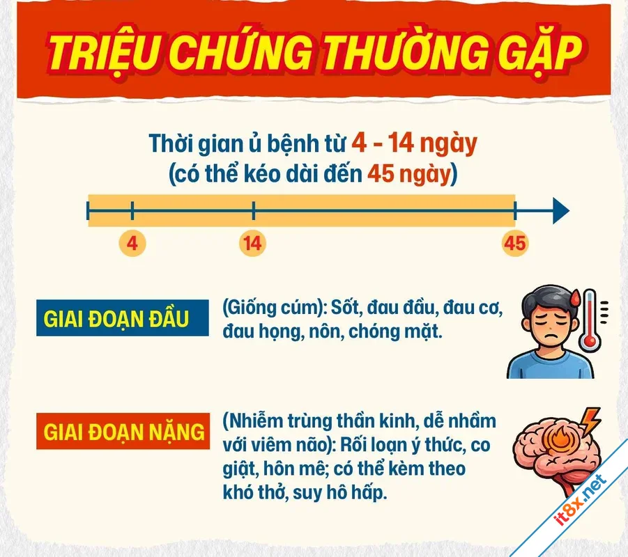 Virus Nipah Không hoảng loạn chỉ cần biết điều này-4.webp