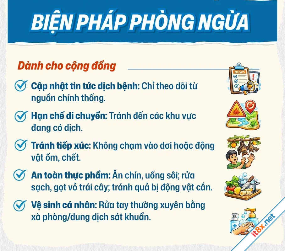 Virus Nipah Không hoảng loạn chỉ cần biết điều này-5.webp