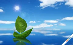 Bài học cuộc sống trường đại học không dạy bạn