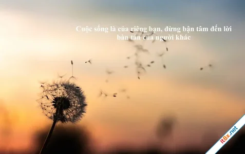 Phương châm sống