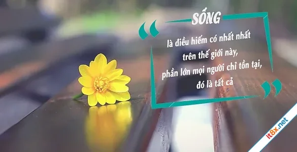 Tất cả là cuộc sống