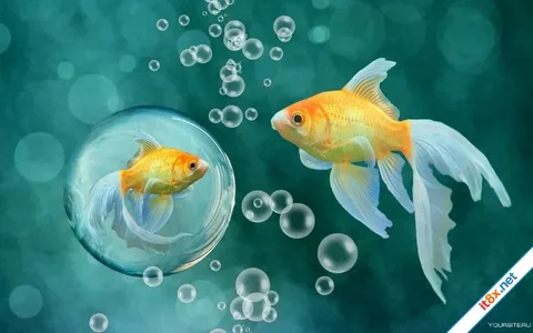 7 giá trị cuộc sống con người thường nhận ra sau tuổi 50