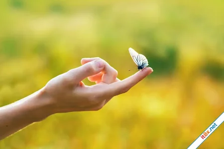 Làm người, tâm tính... Đừng nên quá tốt