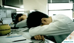 Lý do quan trọng bạn nên ngủ trưa ở công sở