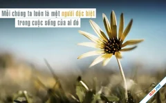 Điều học từ cuộc sống