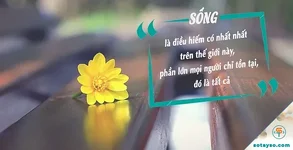 Góc nhìn sâu sắc về những trải nghiệm tạo nên cuộc đời
