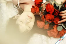 Cành hồng có gai