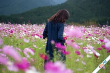 Đã đến lúc phải quên