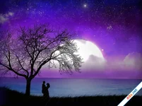 Cuộc sống, nghịch lý và tình yêu