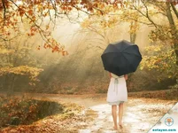 Tuyệt chiêu đơn giản cưa đổ vợ