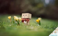 Chỉ có thể là yêu thôi