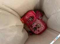 Cô bé nhận bài học nhớ đời vì vứt đồ mẹ mua