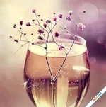 Bước ra khỏi cuộc đời một người khác