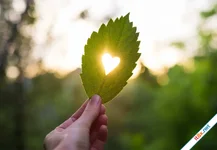Em sẽ sống và sẽ hạnh phúc!