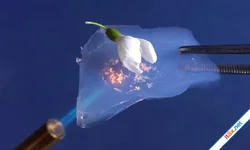 Aerogel: Chất rắn nhẹ nhất thế giới
