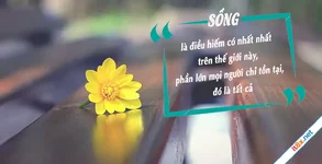 Ranh ngôn bỏ túi