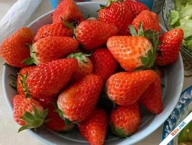 Mẹo rửa dâu tây đúng cách