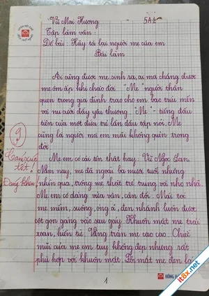 Bài văn tả mẹ đạt 9 điểm gây sốt mạng, tinh tế nhất là lời phê của giáo viên