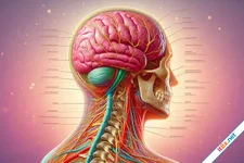 Bài kiểm tra đơn giản giúp phát hiện tình trạng sức khỏe của hệ thần kinh