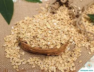 Thường xuyên ăn sáng bằng yến mạch mang lại nhiều lợi ích cho cơ thể