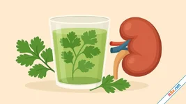 Bài thuốc giải độc thận từ thiên nhiên giúp lọc sạch cơ thể mỗi ngày