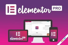 Elementor Pro - WordPress Page Builder