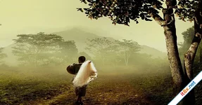 Bình thản trước thị phi của cuộc sống