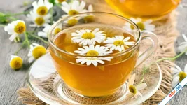 3 lợi ích tuyệt vời của trà hoa cúc đối với sức khỏe tinh thần
