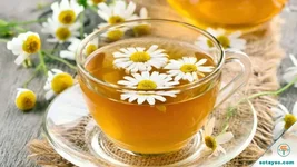 3 lợi ích tuyệt vời của trà hoa cúc đối với sức khỏe tinh thần