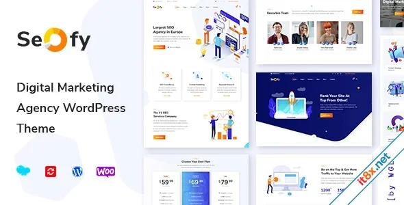 Seofy - Digital & Marketing WordPress Theme