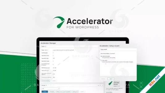 Accelerator Extended for WordPress