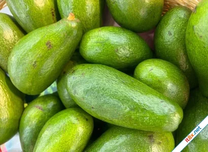 Chiến lược dinh dưỡng: "Quét sạch" Cholesterol xấu qua từng bữa ăn