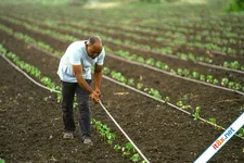 "Phát minh thế kỷ" của Israel rung chuyển thế giới, làm bùng nổ thị trường gần 10 tỷ USD